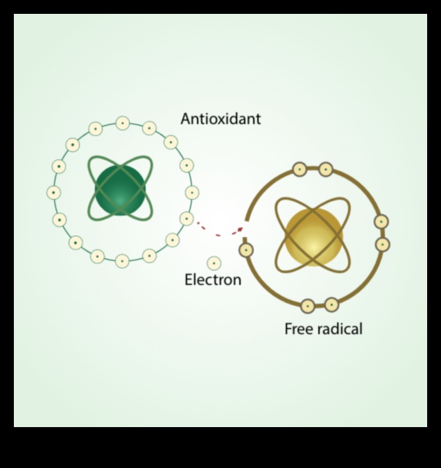 Serbest Radikal Savaşçıları: Antioksidan Mükemmelliğinin ABC'leri