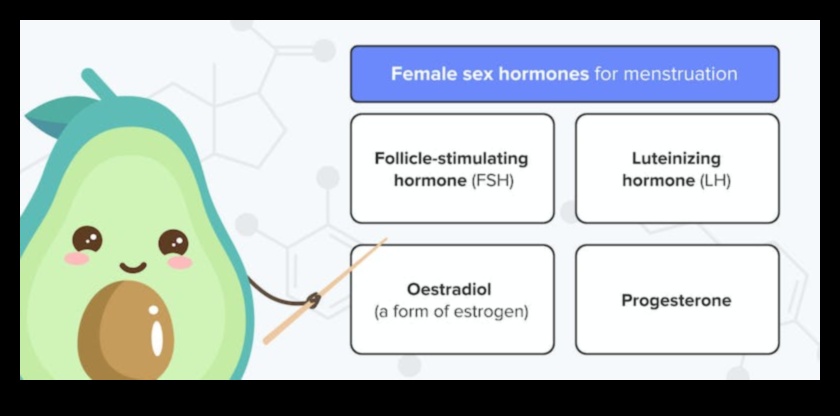 Keto ve Adet Sağlığı: Kapsamlı Bir Bakış Açısı