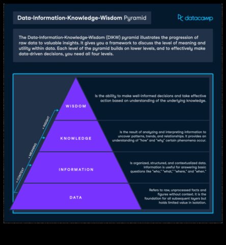 Veri Bilgeliğini Geliştirmek Daha İyi Kararlar Almak İçin Stratejik İş Analitiğini Nasıl Kullanabilirsiniz?