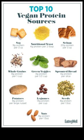 Yüksek Proteinli Diyet İçin En İyi 10 Tam Gıda